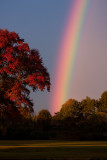 Rainbow in Conway 10-26-09 copy.jpg