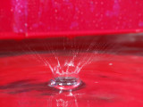 JS172435.jpg