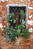 venice street garden