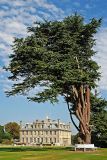 Kingston Lacy ~ tree and bench (4047)