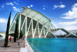 Cypress trees, City of Arts & Sciences