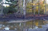 Haverhill Wetlands Drained.....The Horrible Result
