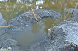 Haverhill Wetland How City Left Outflow.jpg