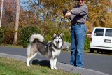 IMG_6183.jpg