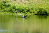 w Osprey presses forward another attack.jpg