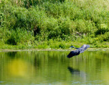 cropped IMG_0798.jpg
