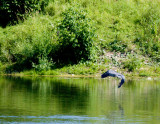 cropped IMG_0803.jpg