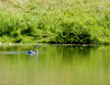 cropped IMG_0813.jpg