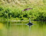 cropped IMG_0814.jpg