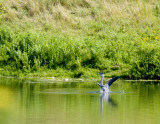 cropped IMG_0815.jpg