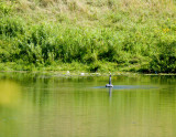 cropped IMG_0818.jpg
