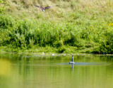 cropped IMG_0819.jpg