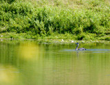 cropped IMG_0822.jpg