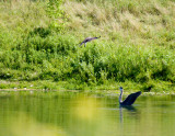 cropped IMG_0824.jpg