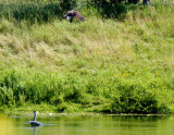 cropped IMG_0825.jpg