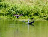 cropped IMG_0827.jpg