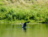 cropped IMG_0828.jpg