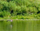 cropped IMG_0835.jpg