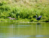 cropped IMG_0837.jpg