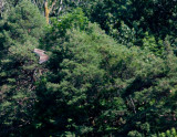 cropped IMG_0852.jpg