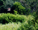 cropped IMG_0854.jpg