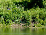cropped IMG_0857.jpg