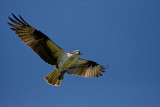 IMG_1374.jpg