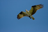 IMG_1574.jpg