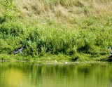 cropped IMG_0808.jpg