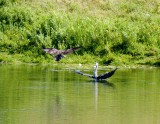 cropped IMG_0827.jpg