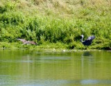 cropped IMG_0837.jpg