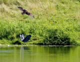 cropped IMG_0838.jpg