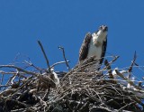 IMG_0999 cropped.jpg
