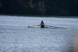 Regatta-4773.jpg