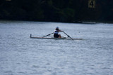 Regatta-4784.jpg