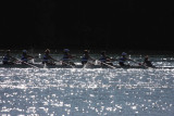 Regatta-4996.jpg