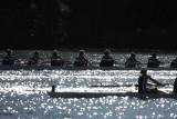 Regatta-5017.jpg