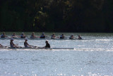 Regatta-5031.jpg