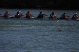 Regatta-5105.jpg