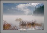 Morning Mist