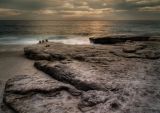 la jolla beach 10.jpg