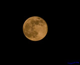 Full Moon 121208