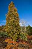 22_Oct_2008<br>Autumn Colour