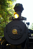 Skunk Train