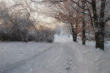 Winter scene