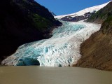  Bear Glacier, Stewart