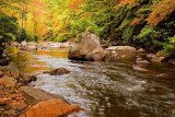  Tellico River