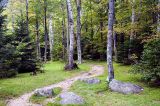  Crawford Notch SP 2