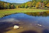 Bass Lake
