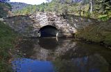Bass Lake 6